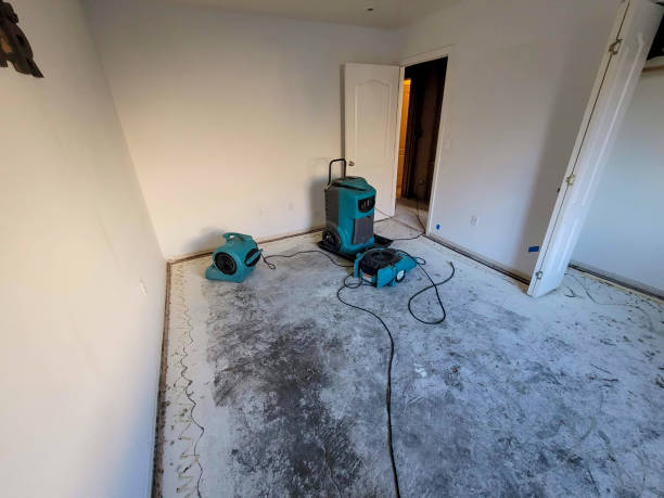 Best Sewage cleanup and water damage restoration  in Harrisville, UT
