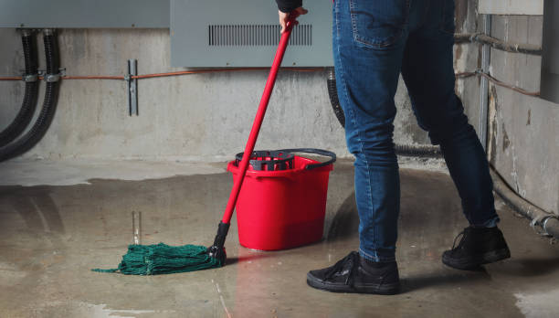 Best Water damage restoration near me  in Harrisville, UT