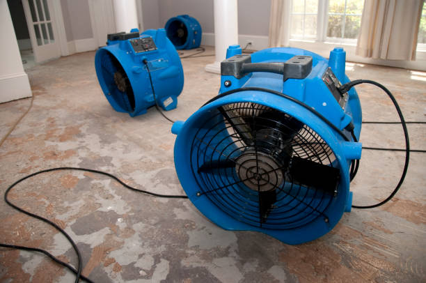Best Fire Damage Restoration  in Harrisville, UT