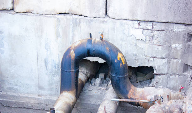 Best Professional water damage repair  in Harrisville, UT